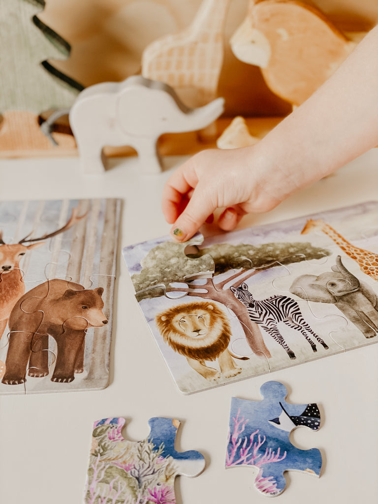 Kids Puzzle Collection