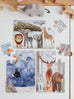 Kids Puzzle Collection