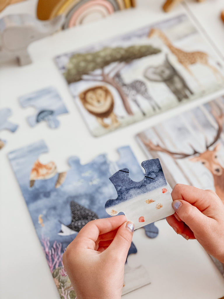 Kids Puzzle Collection