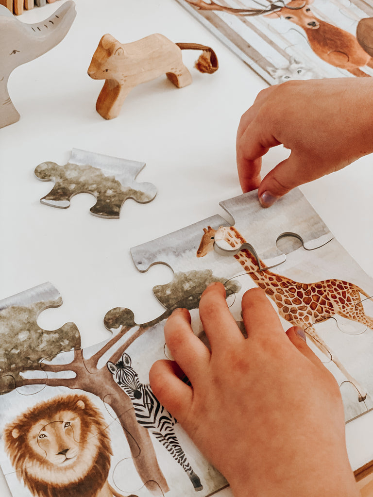 Kids Puzzle Collection