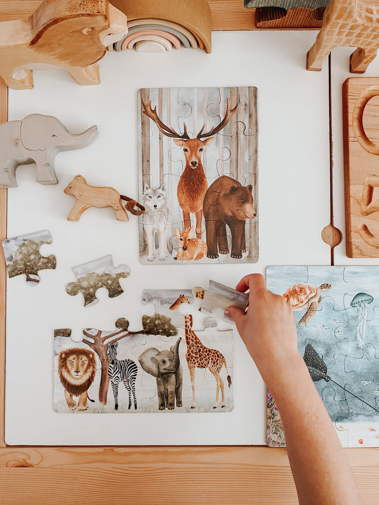 Kids Puzzle Collection