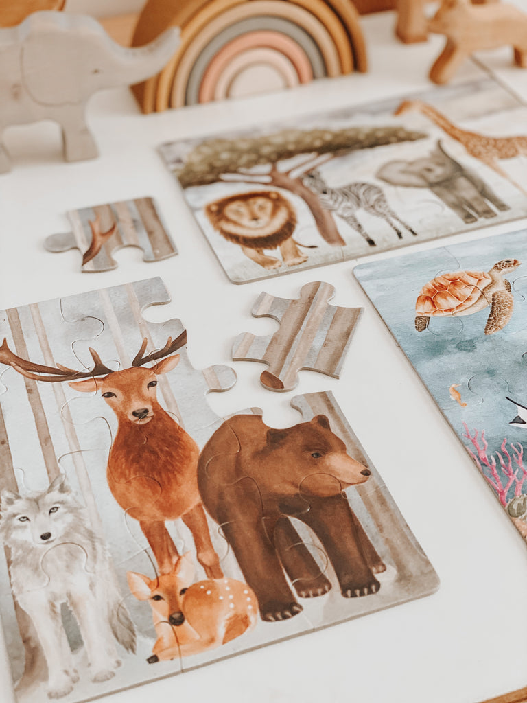 Kids Puzzle Collection