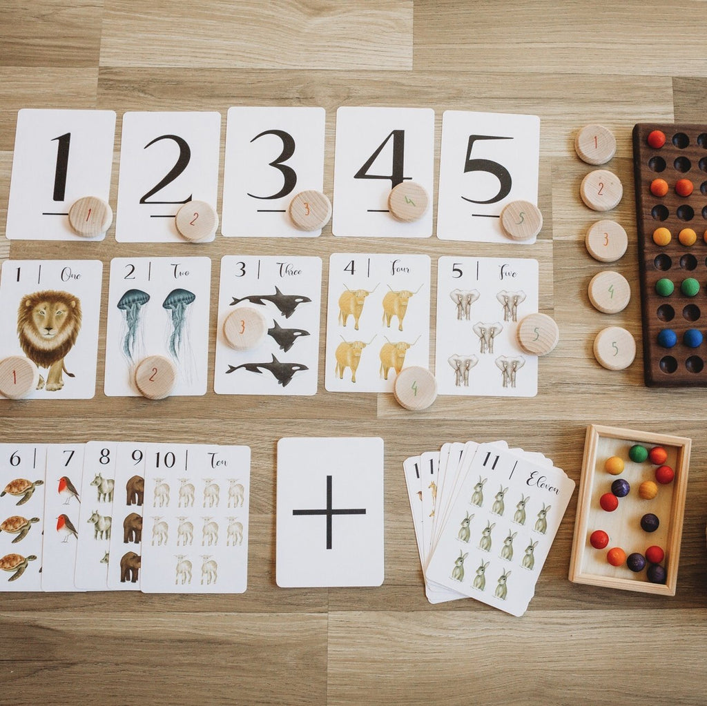 Nature's 123 Numbers Flashcards by Jo Collier