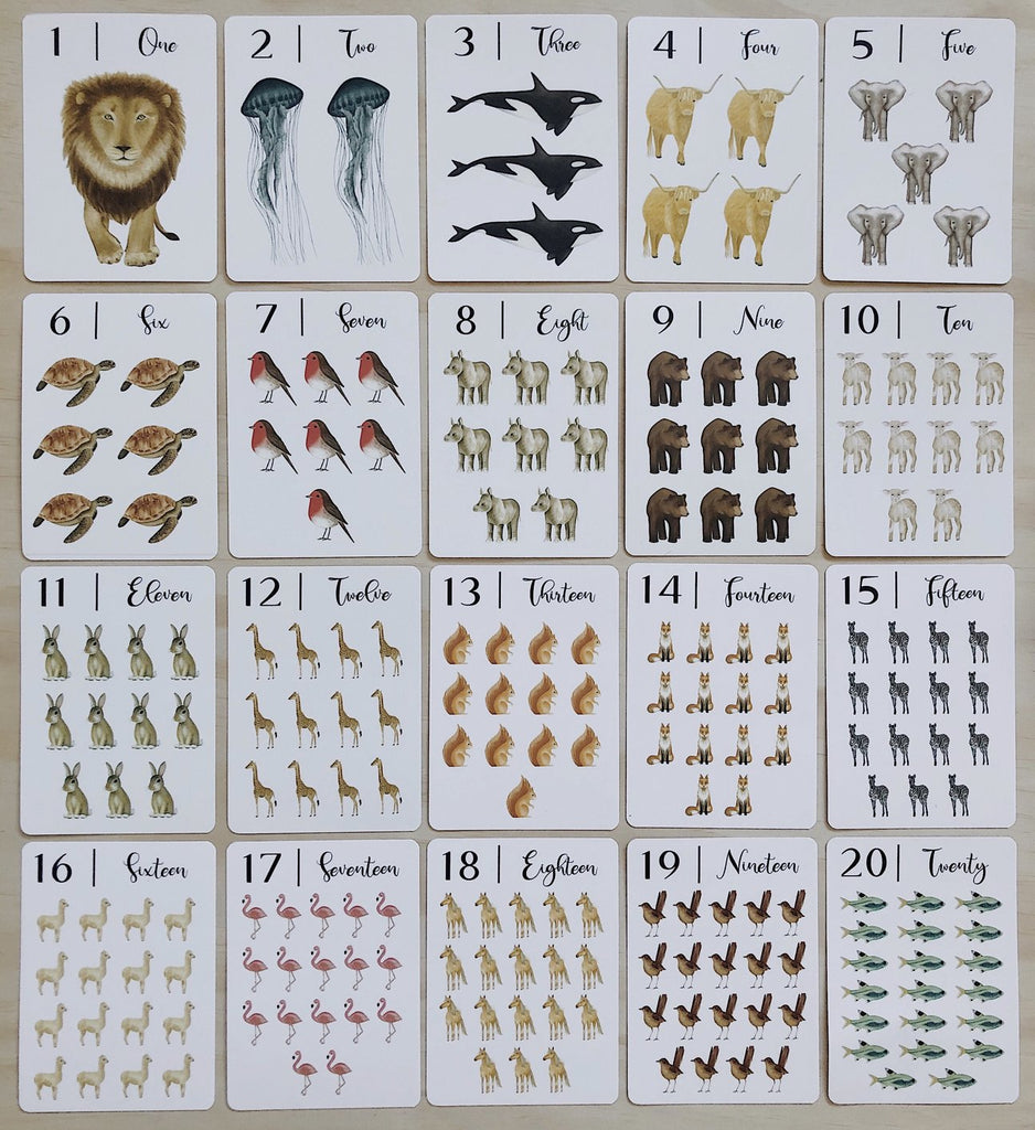 Nature's 123 Flashcards for Kids by Jo Collier