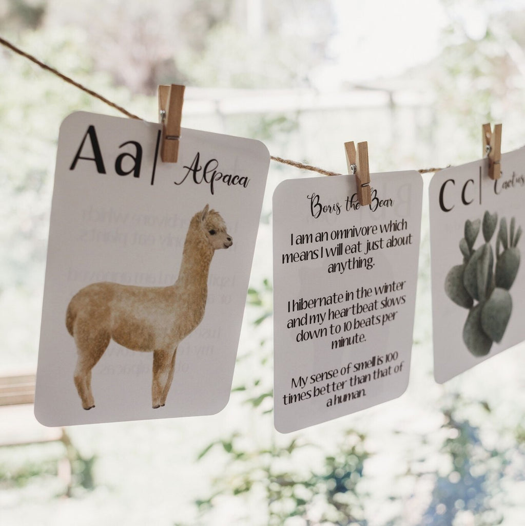Alphabet Flashcards with Animals-Plants Facts by Jo Collier