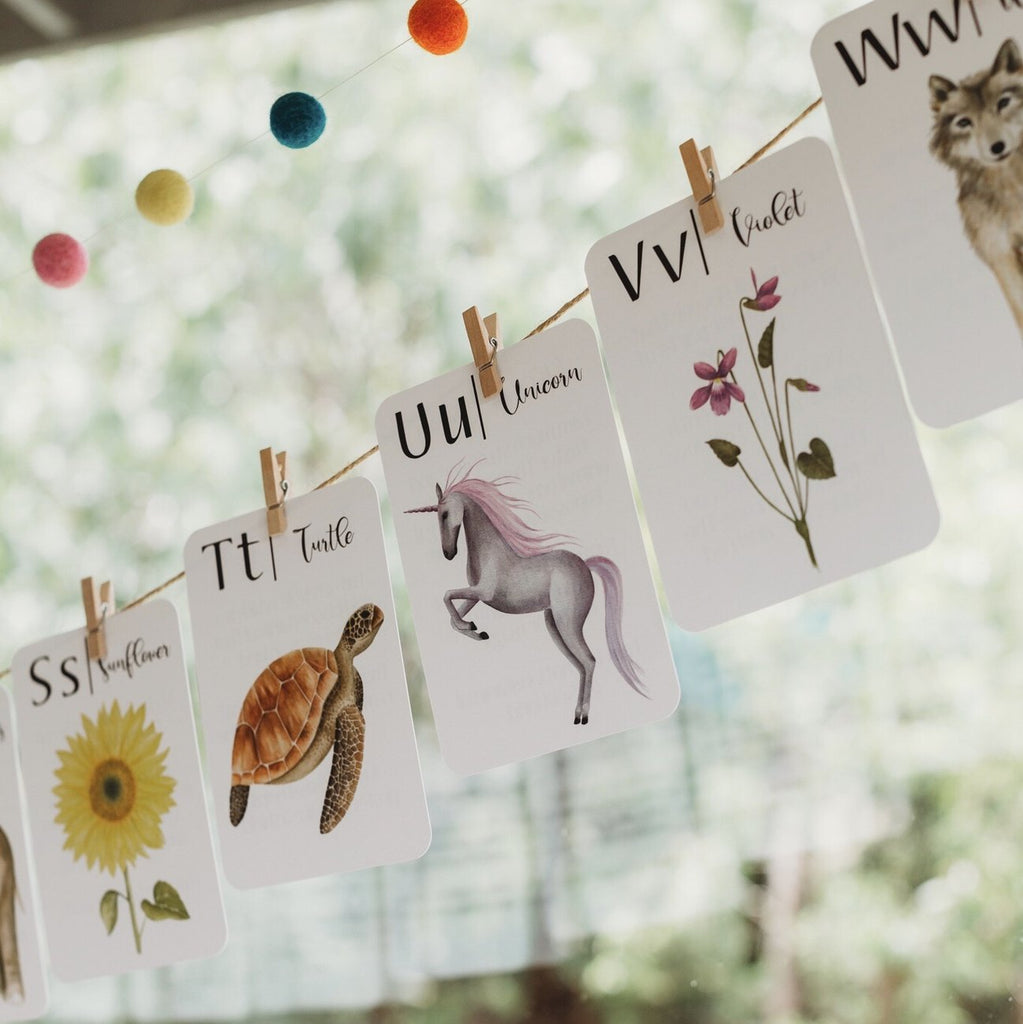 Alphabet Flashcards Pack with Animals-Plants Facts by Jo Collier
