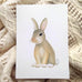 Basil-the Bunny-nursey-wall-art-print-flatlay-woodland