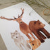 woodland-animal-nursery-art-prints-jo-collier